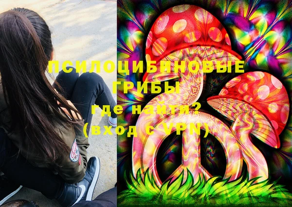 молекула духа Алексеевка