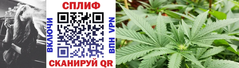 МАРИХУАНА VHQ  магазин    Бакал 